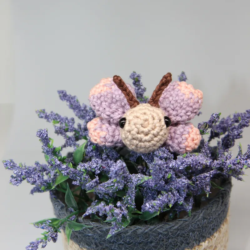 Photograph: the butterfly from the front on a pot of lavender, its cream face with two black eyes between two brown antennae, the forewings standing up and the hindwings low at the sides.