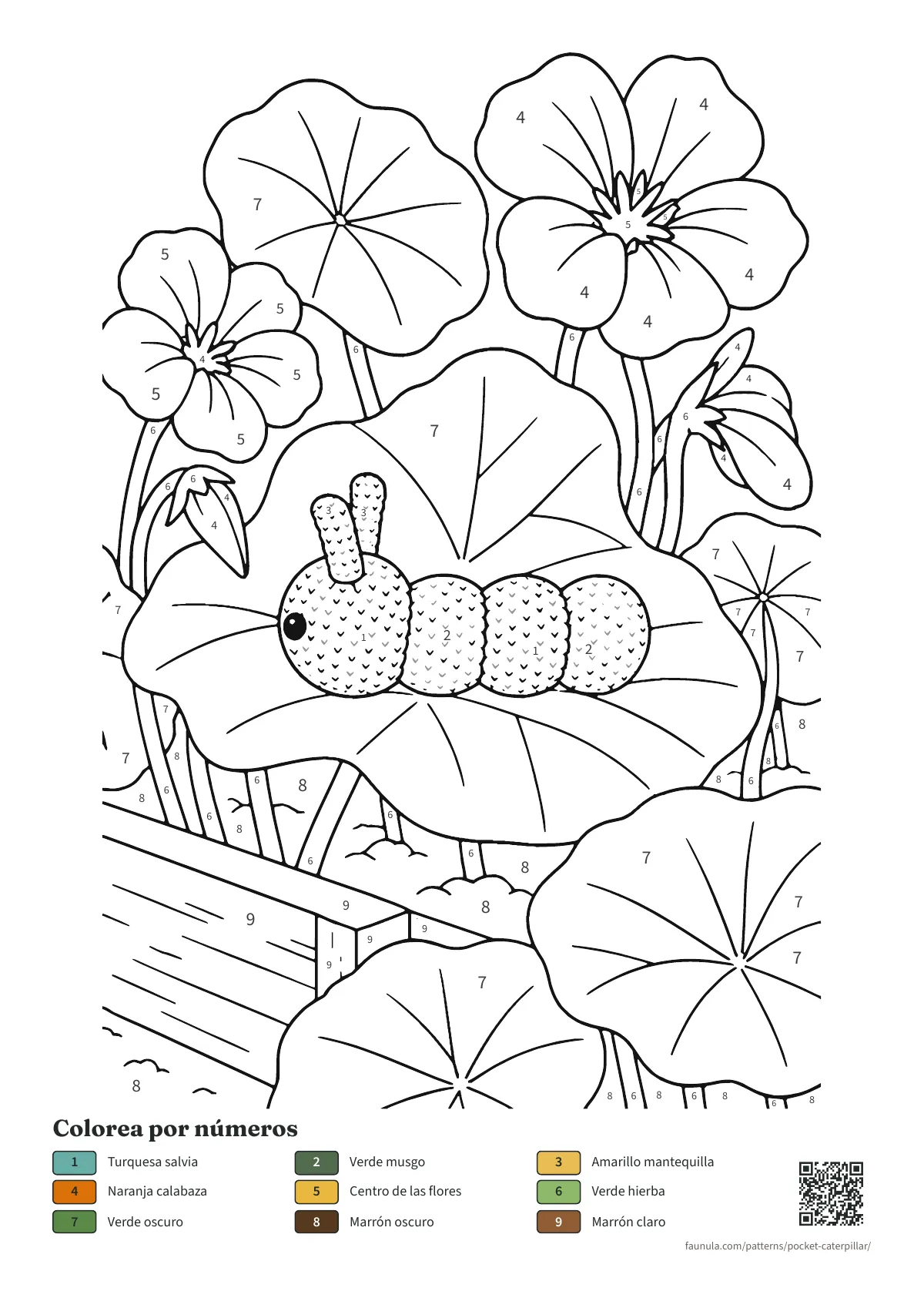 Dibujo de Oruguita para colorear por números