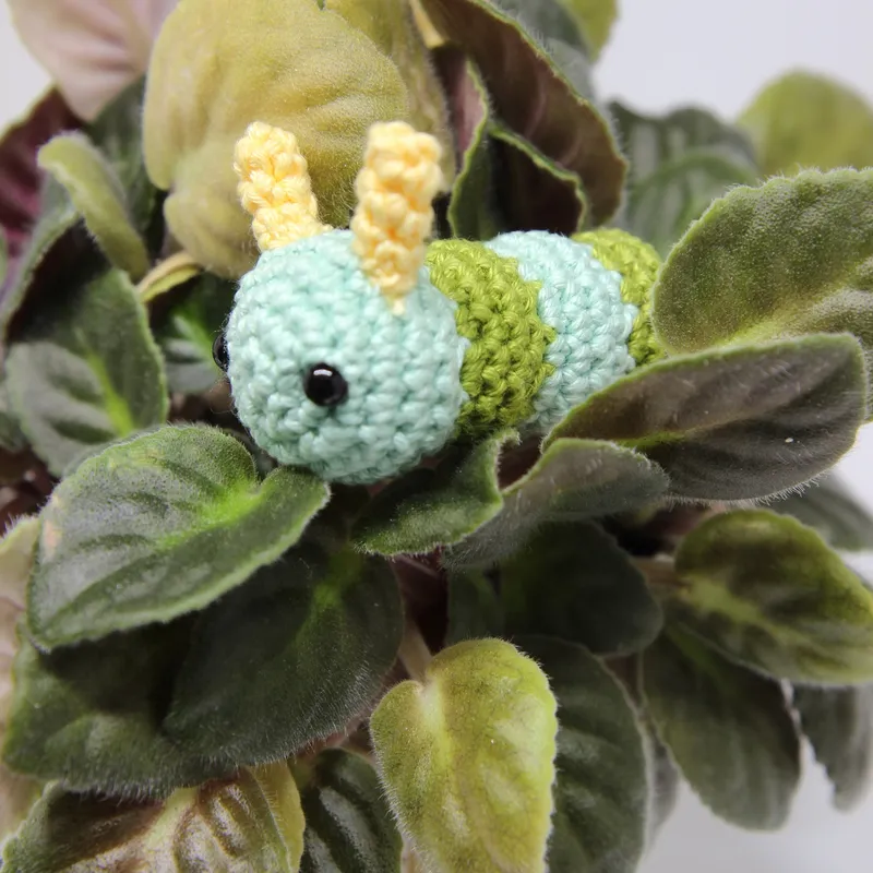 Photograph: the caterpillar resting on the fuzzy leaves of a houseplant, its round mint head with two black eyes and two yellow antennae, the body in mint and green bands behind it.
