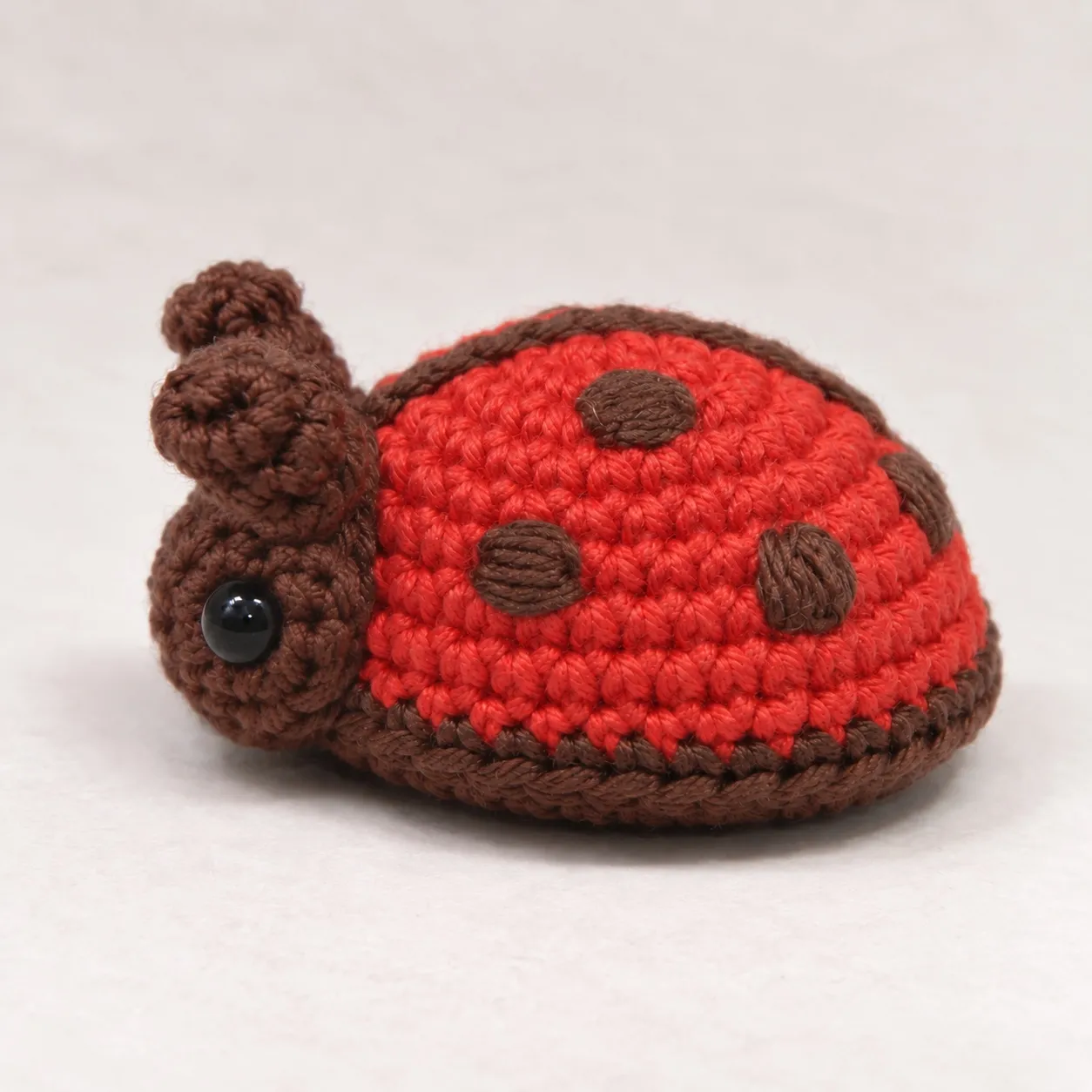 The same ladybug from its left side: a red dome with brown spots and a thin brown edge at the table, its brown head at the front with one antenna standing up.